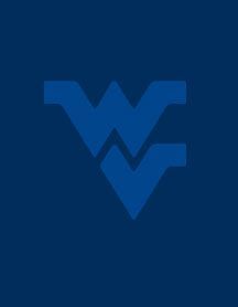 This is a placeholder pic, because the employee doesn't have a headshot uploaded. It is a flying WV on a blue background.